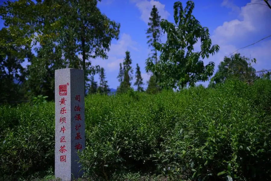 黄乐坝片区图1