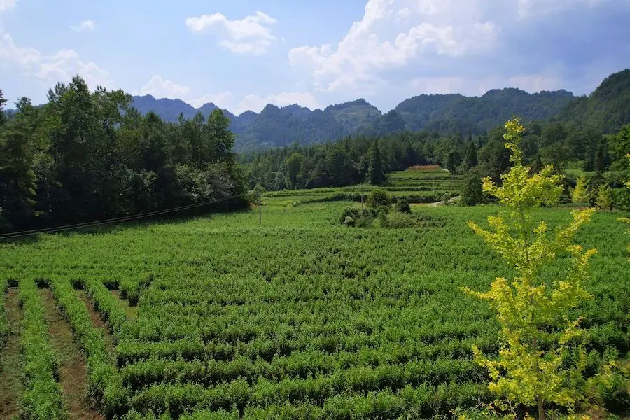 黄乐坝片区图3
