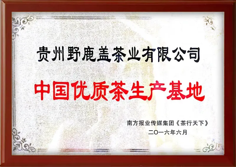 荣誉证书4
