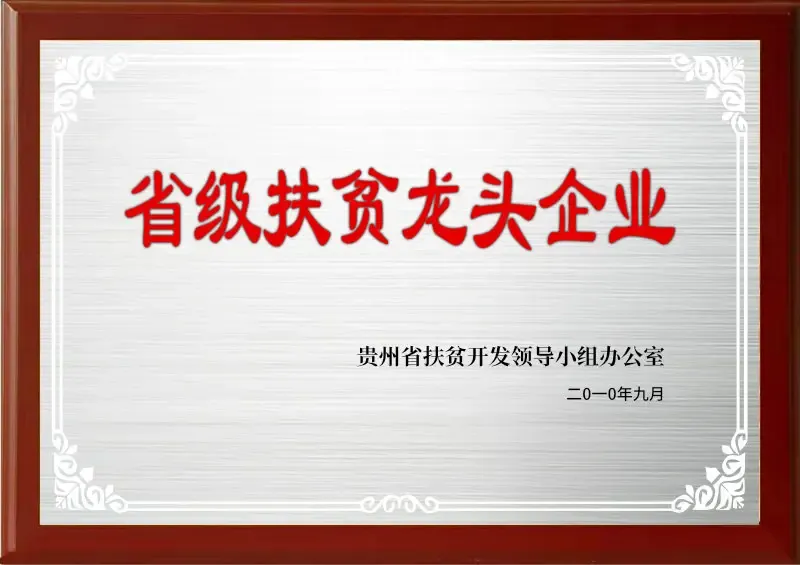 荣誉证书11