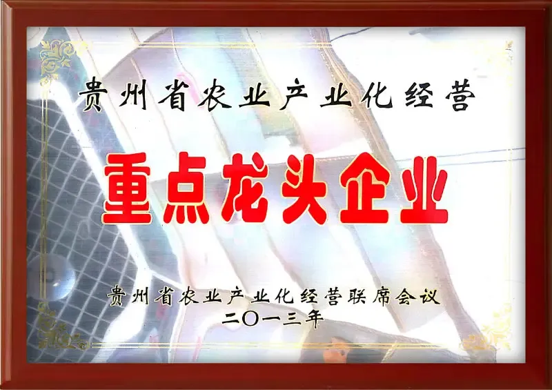 荣誉证书1