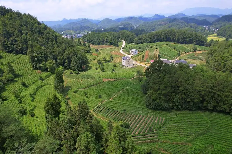 新山片区图3