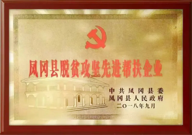 荣誉证书10