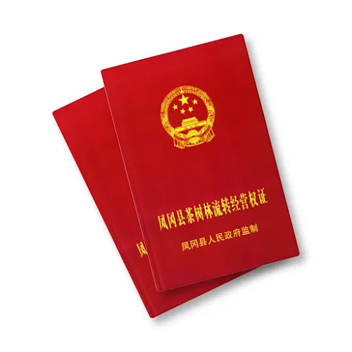 什么是“一亩一证”？